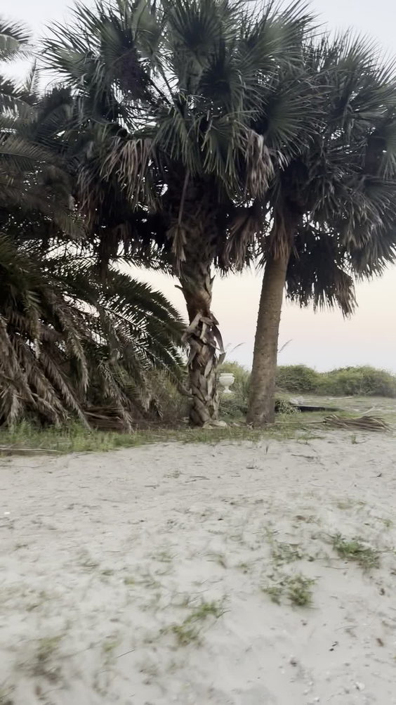 Robin's Beach 17