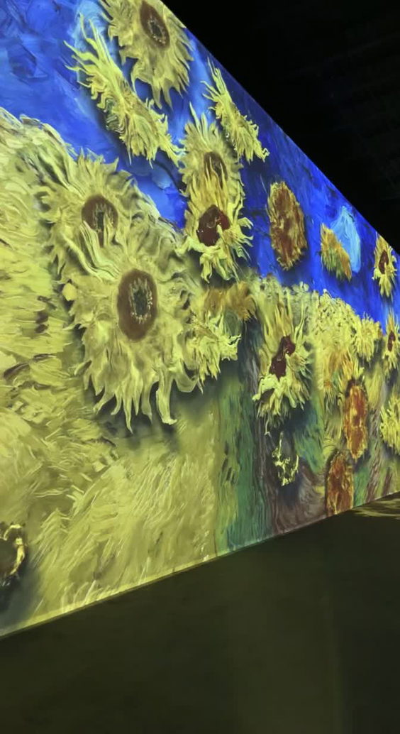 Van Gogh The Immersive Experience