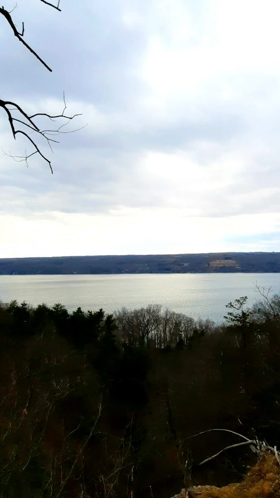 Sims-Jennings Preserve at Cayuga Cliffs