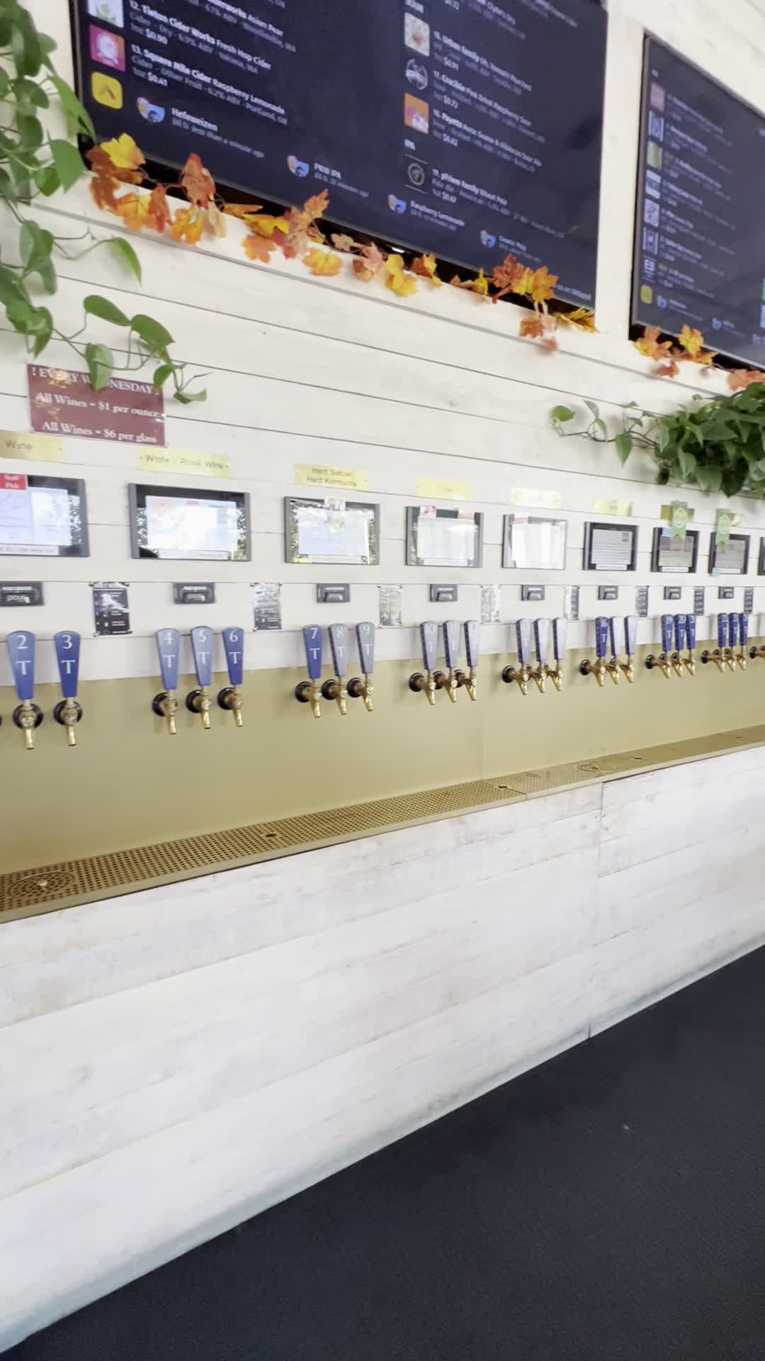 Video review of Tapster Seattle