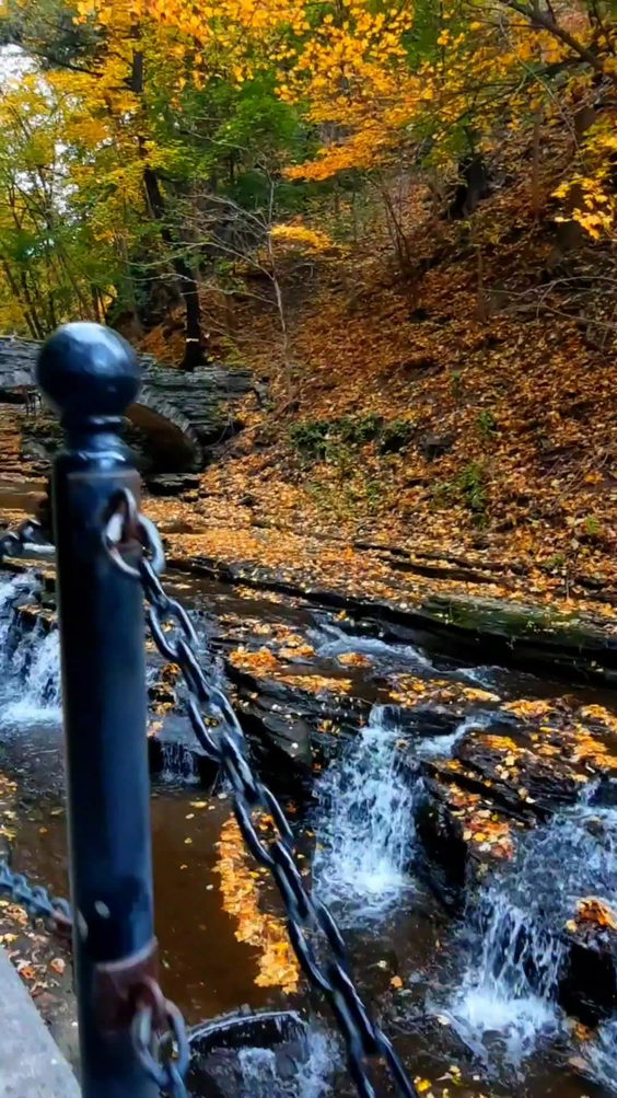 Cascadilla Gorge