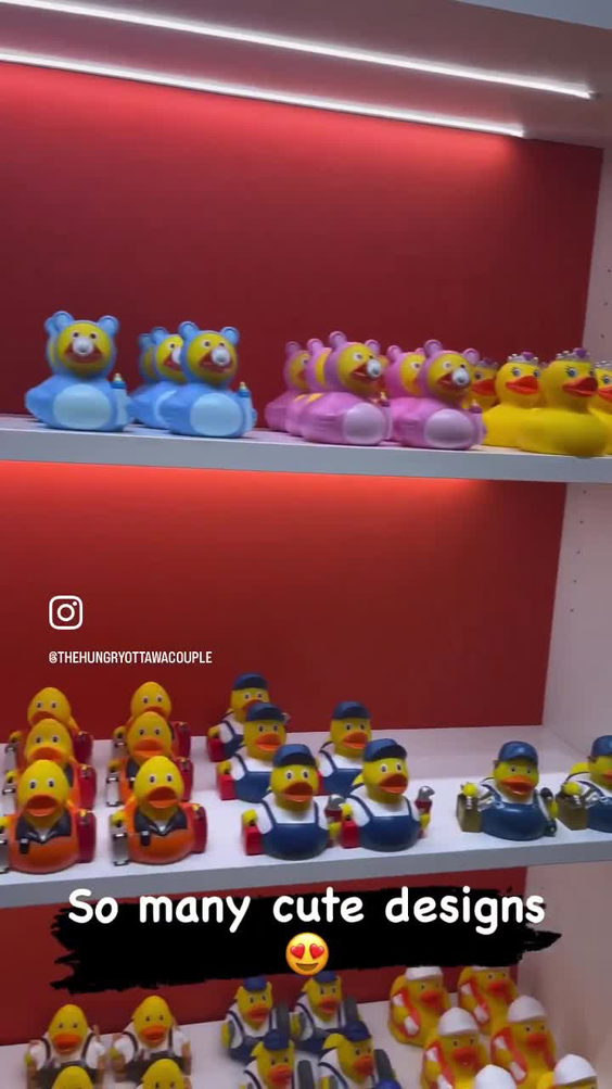 Le petit duck shoppe