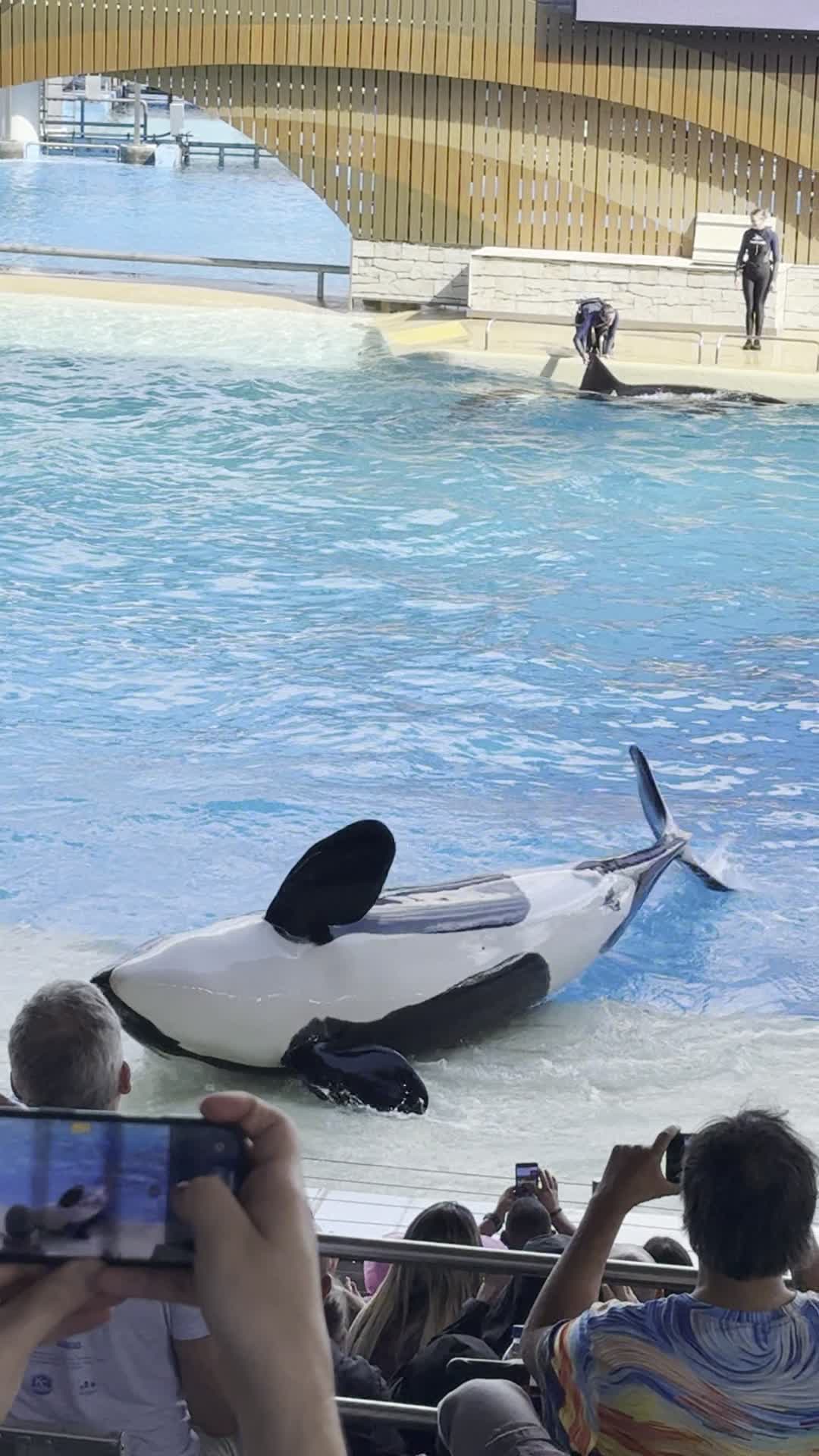 SeaWorld Orlando