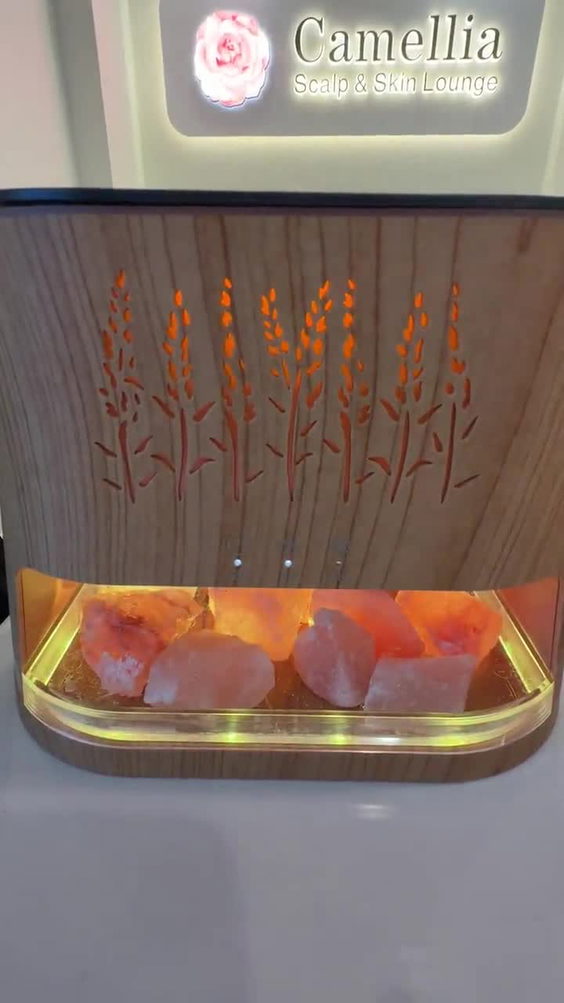 Camellia scalp spa