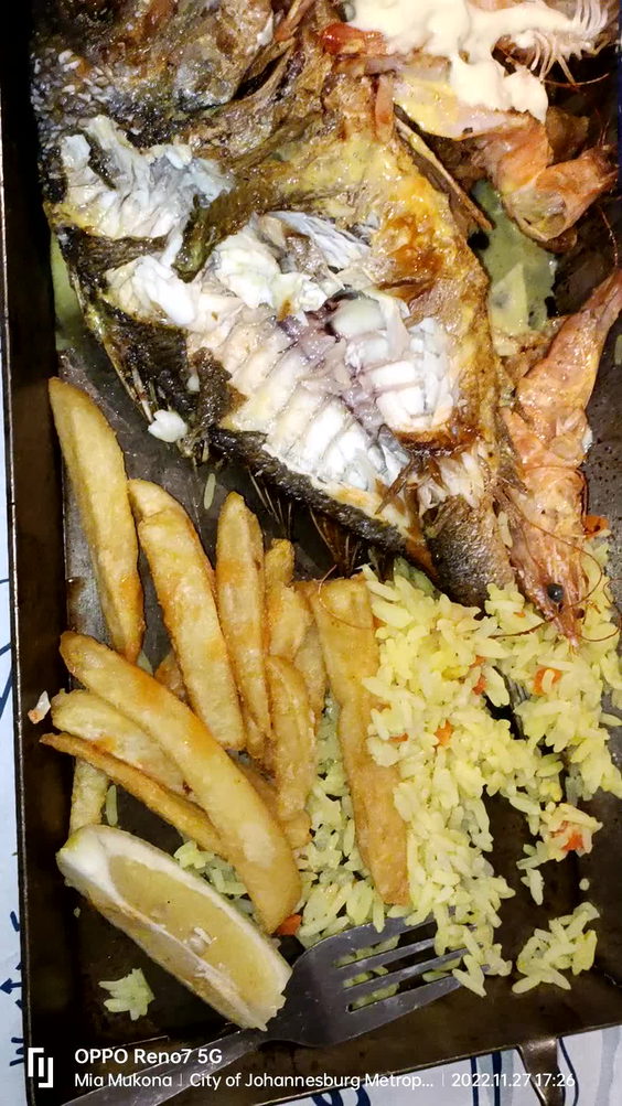 Ocean Basket