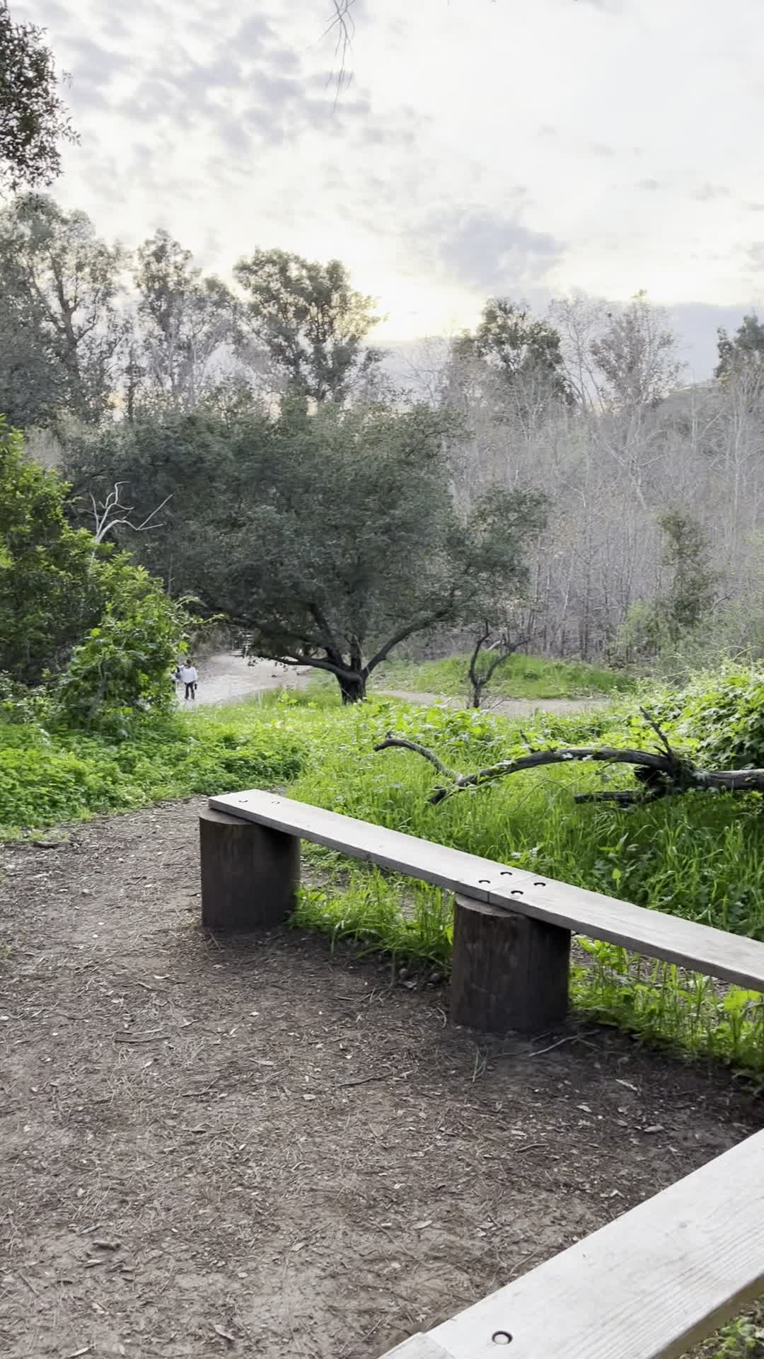 Santiago Oaks Regional Park