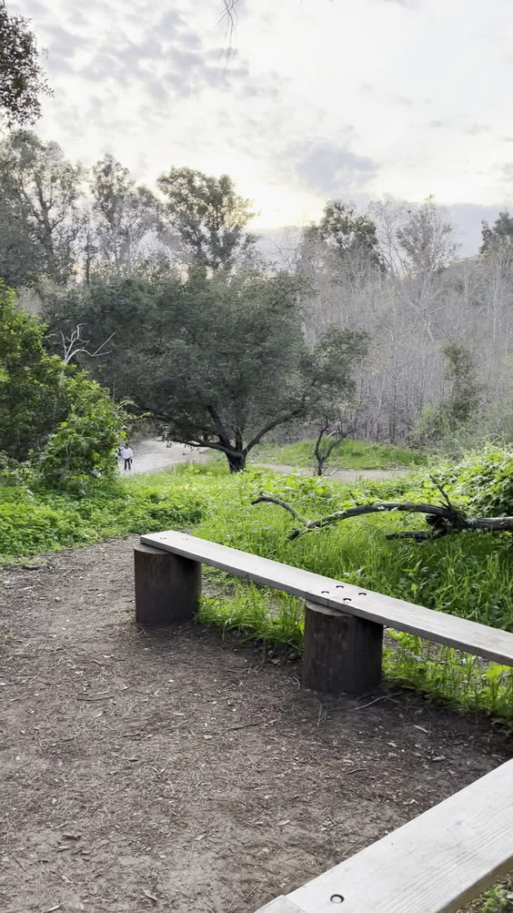 Santiago Oaks Regional Park