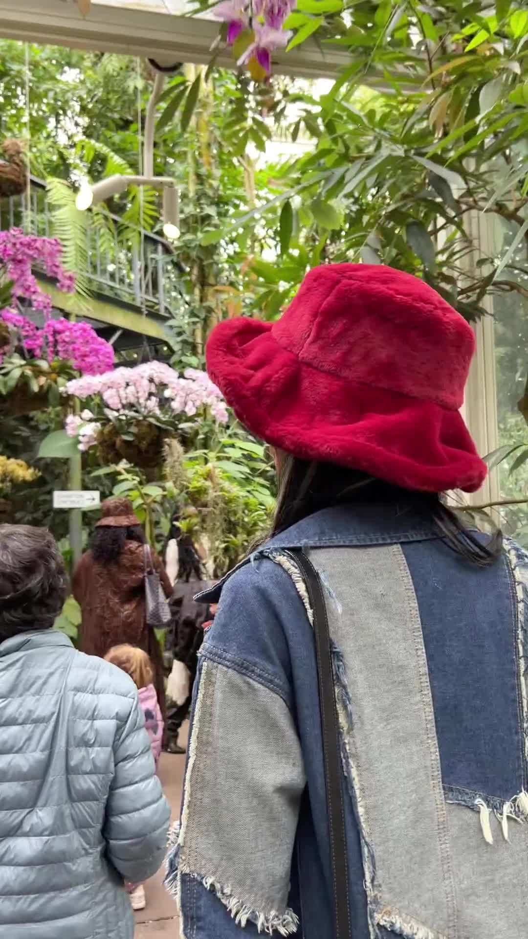 Video review of The Orchid Show at NYBG