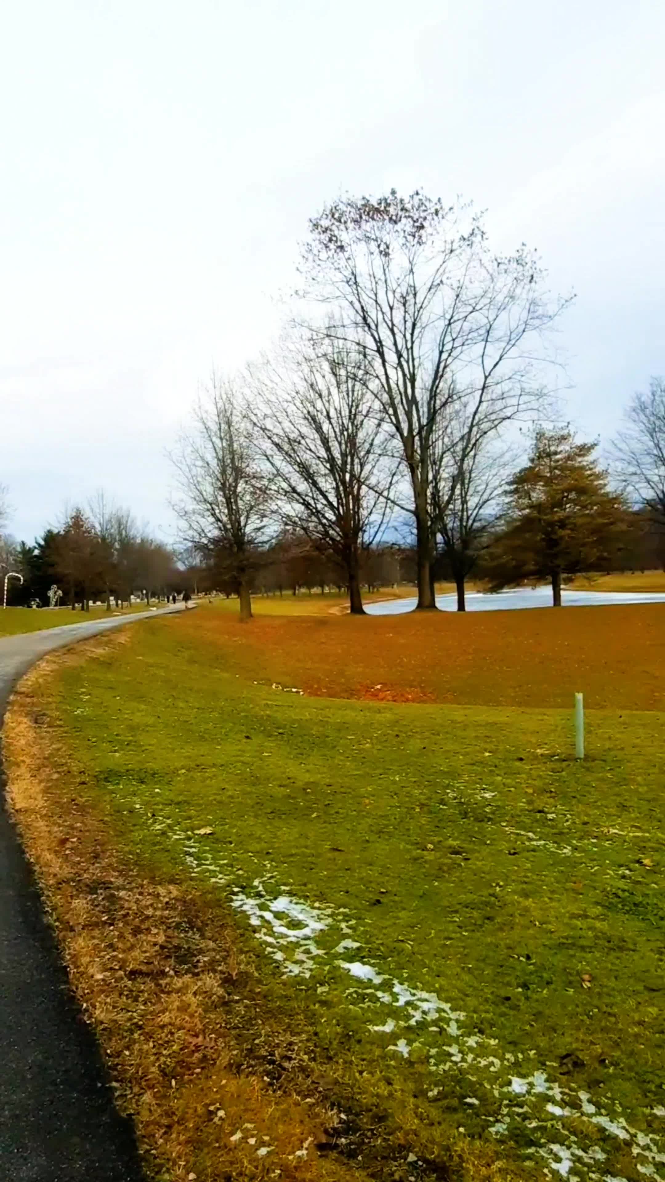 Video review of Otsiningo Park