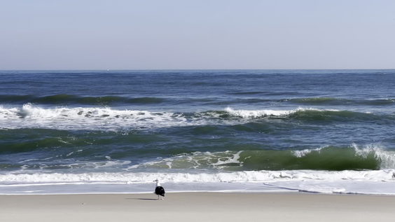Island Beach State Park
