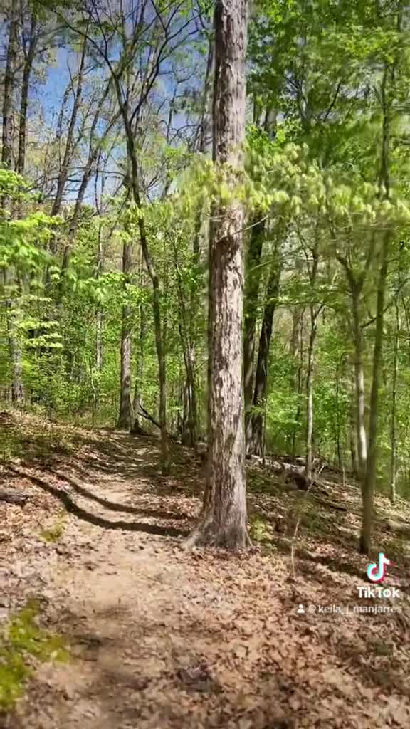 Bentonville Bike Trail