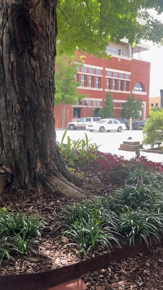 Fayetteville Town Square