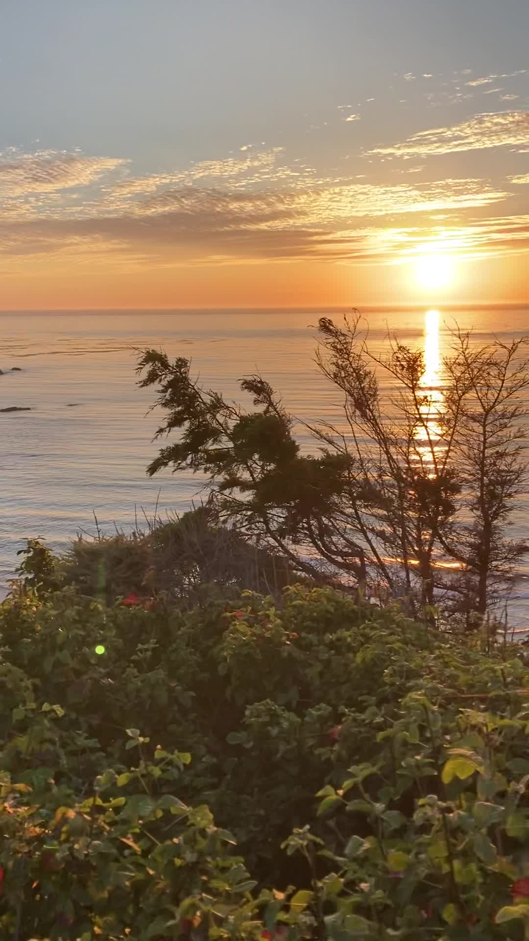 Sand Dollar Beach