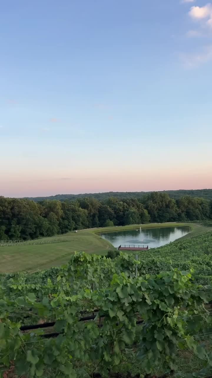 Video review of Montaluce Vinyard and LeVigne Restaurant