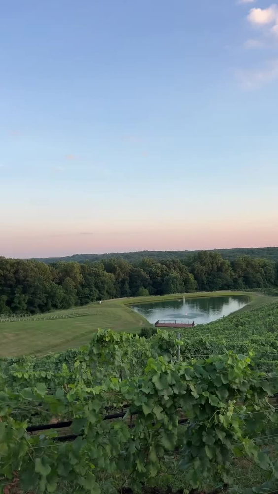 Montaluce Vinyard and LeVigne Restaurant