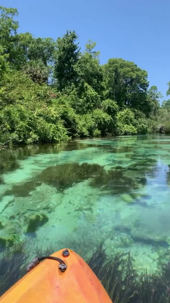 Weeki Wachee Springs
