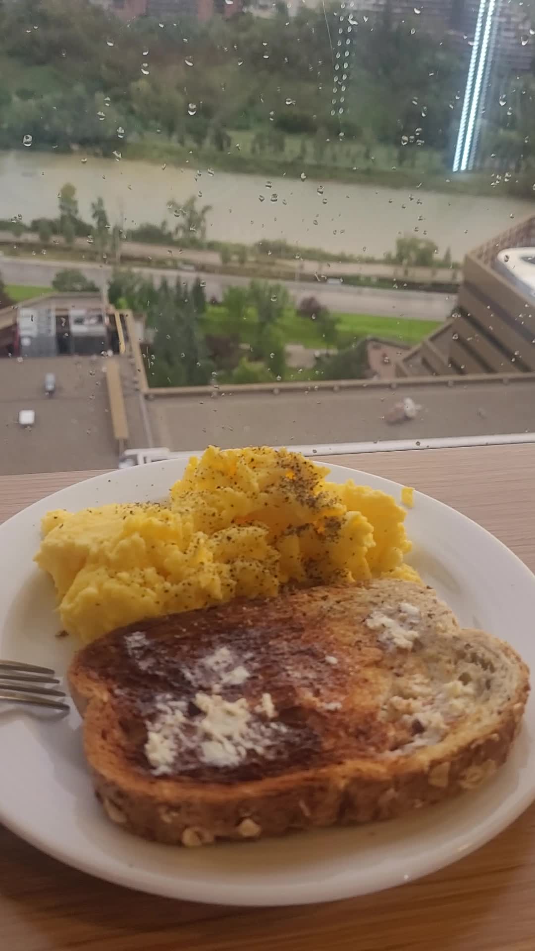 Video review of Delta Hotel's by Marriott Calgary Downtown