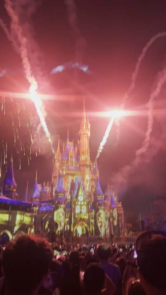 Magic Kingdom Park