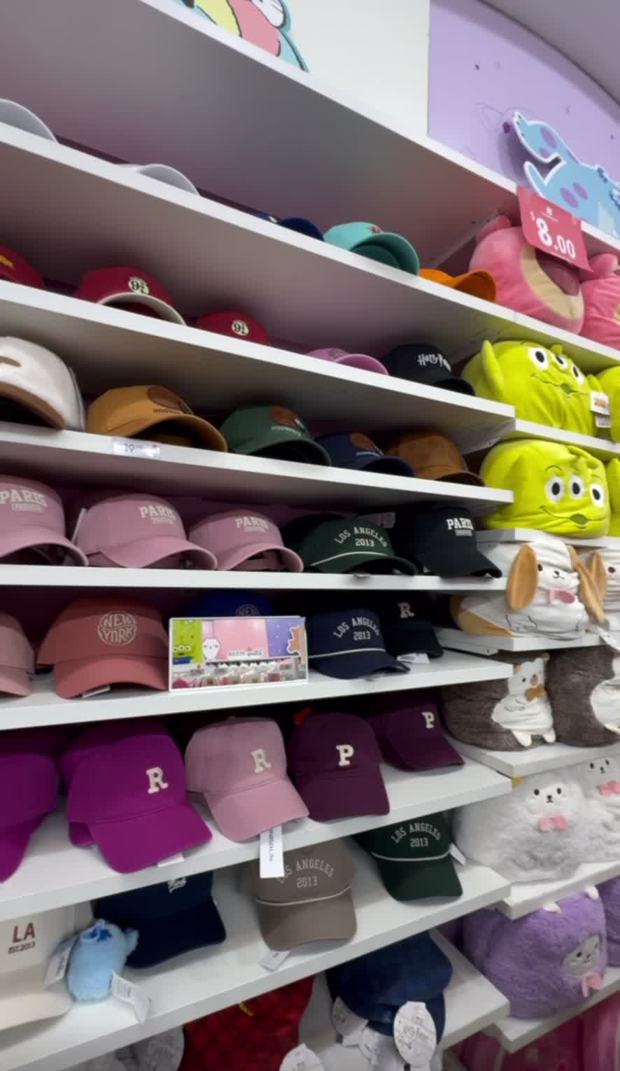 Video review of North Riverside Park Mall