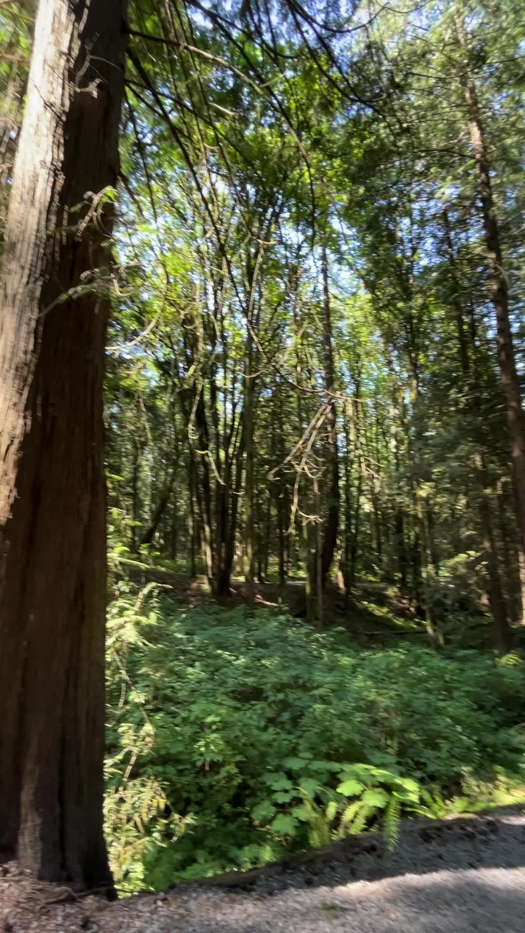 Robert Burnaby Park