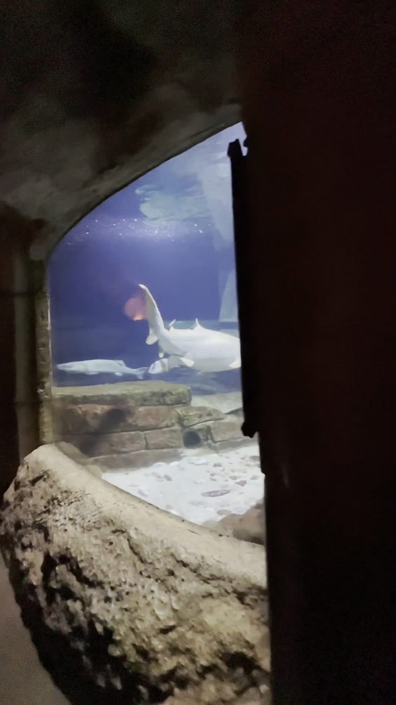 Long Island Aquarium & Exhibition Center (Atlantis Marine World)
