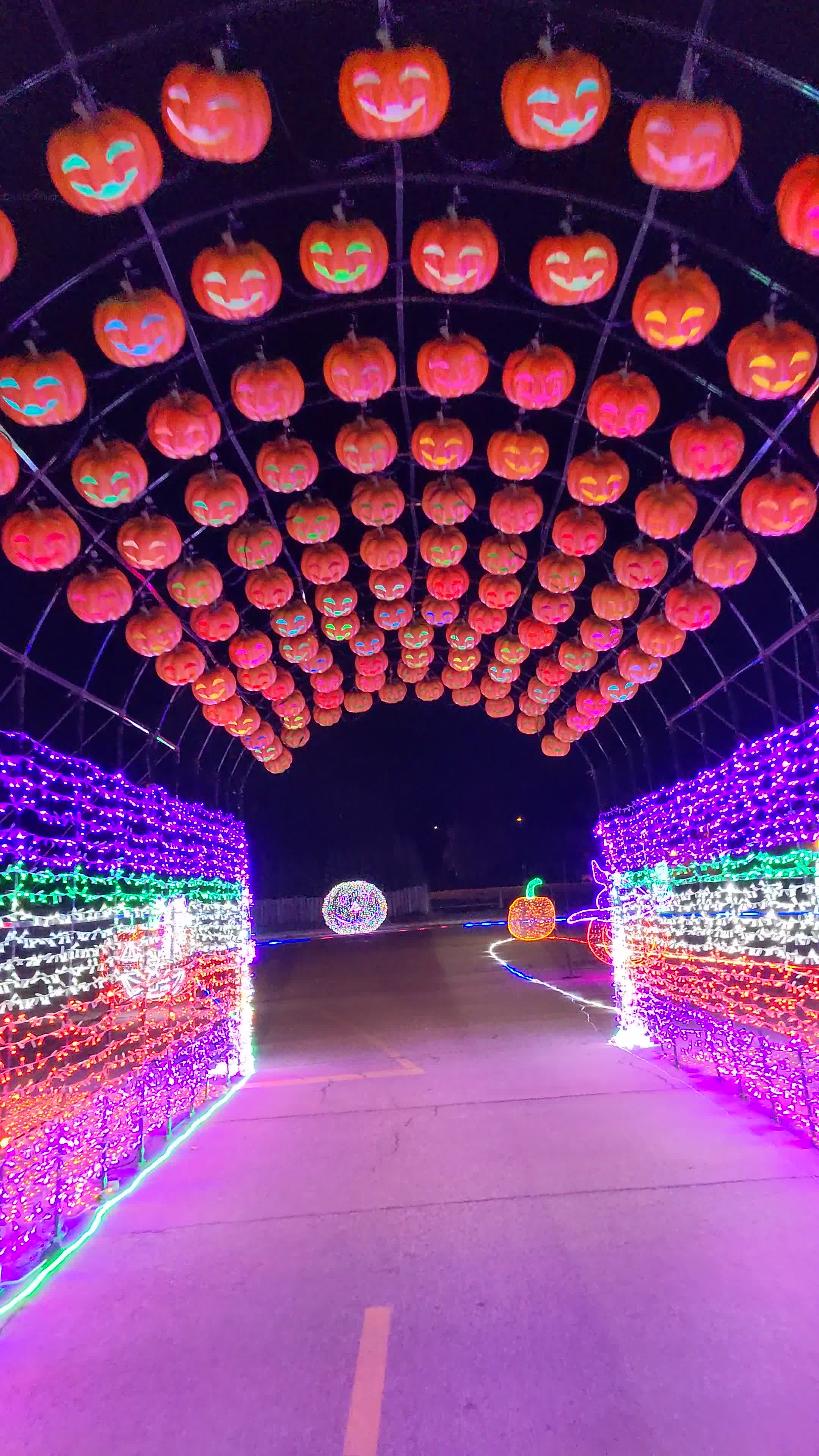 Spooktacular Light Show