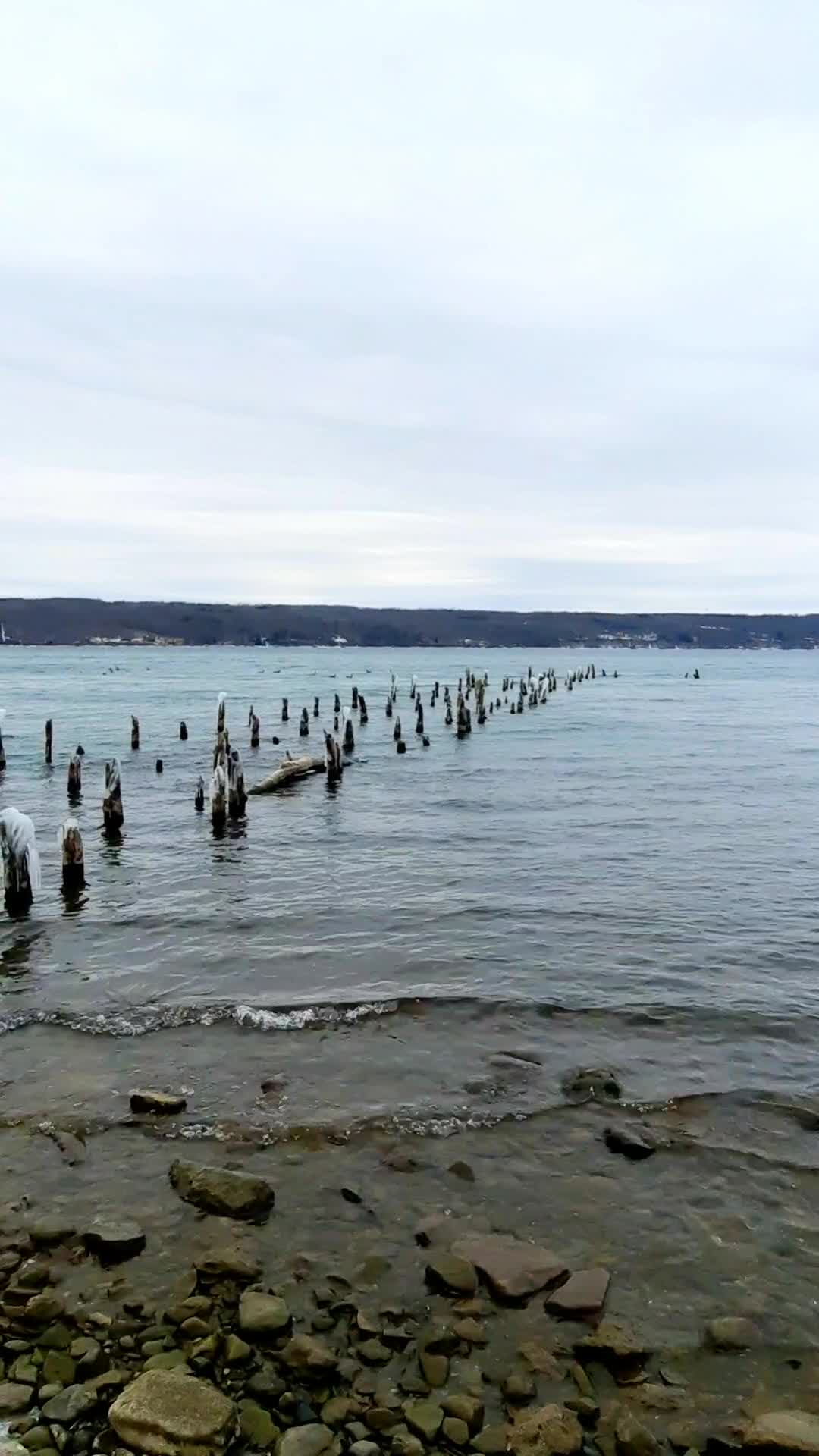 Salt Point