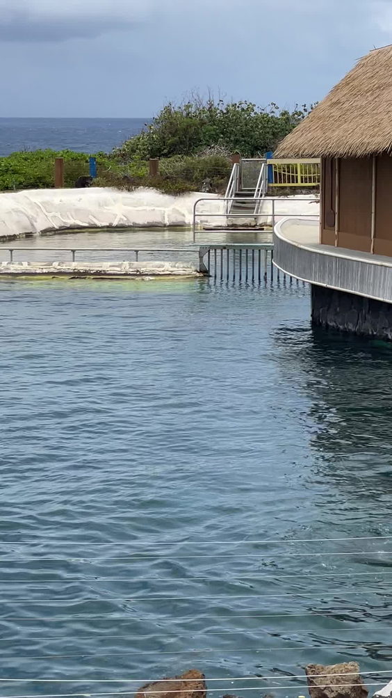Sea Life Park