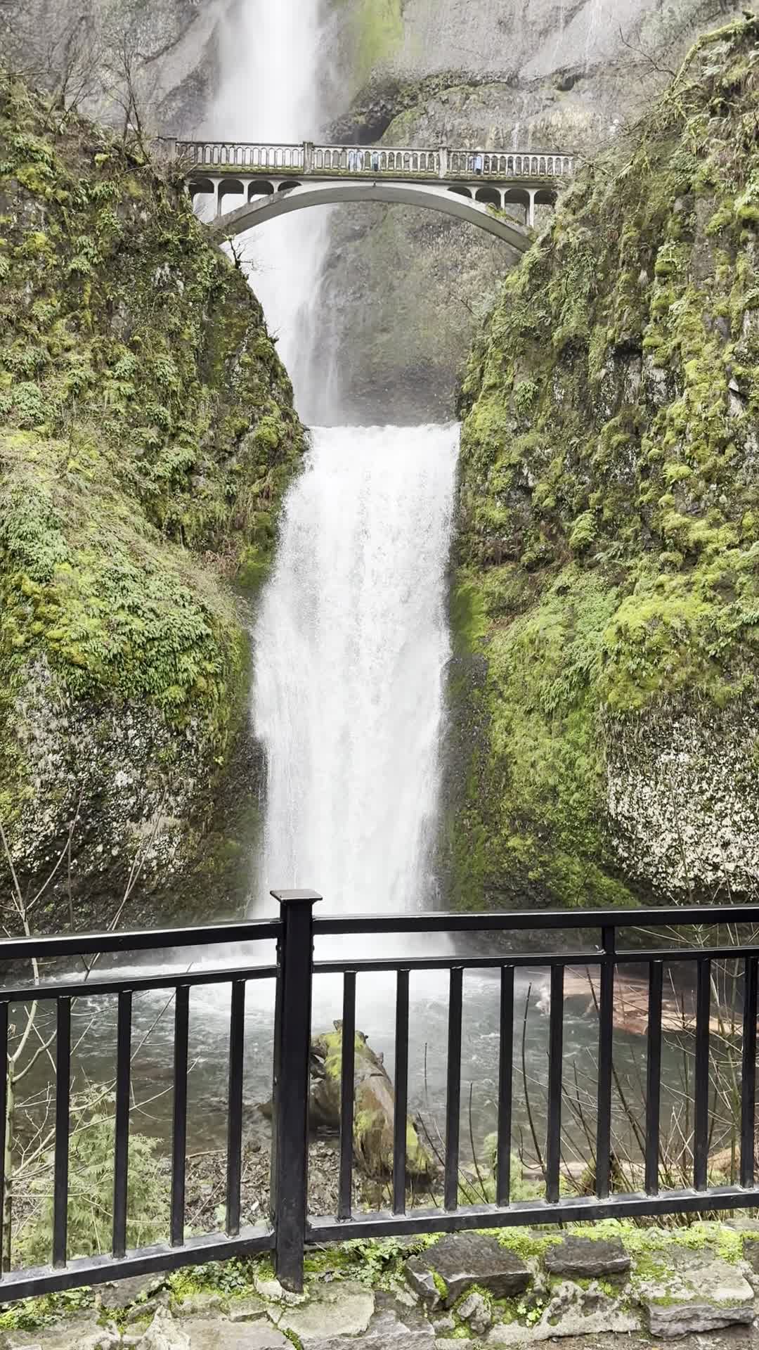 Video review of Multnomah Falls Lodge Restaurant