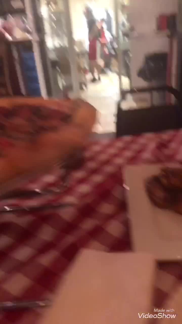 Nona Slice House
