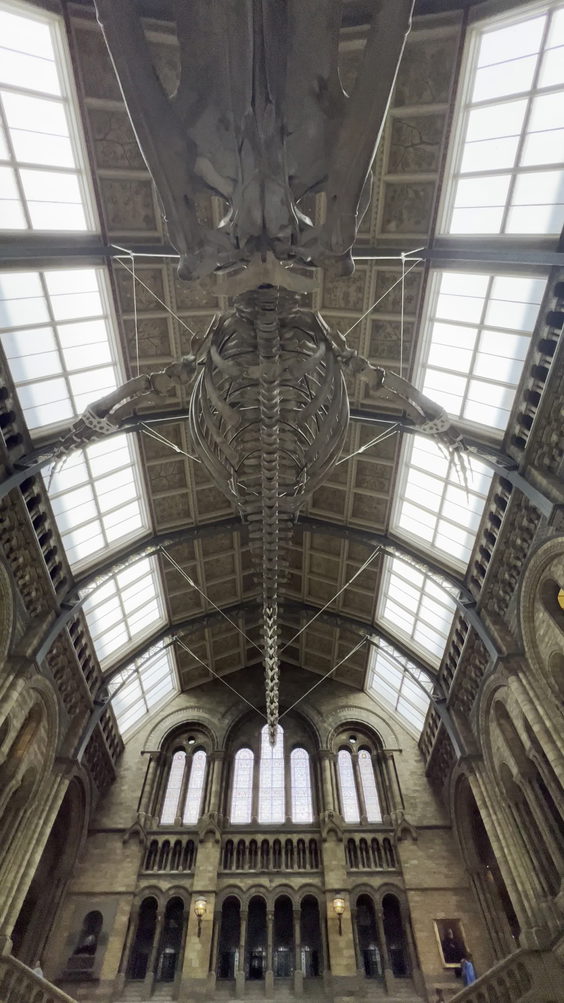 Natural History Museum Restaurant