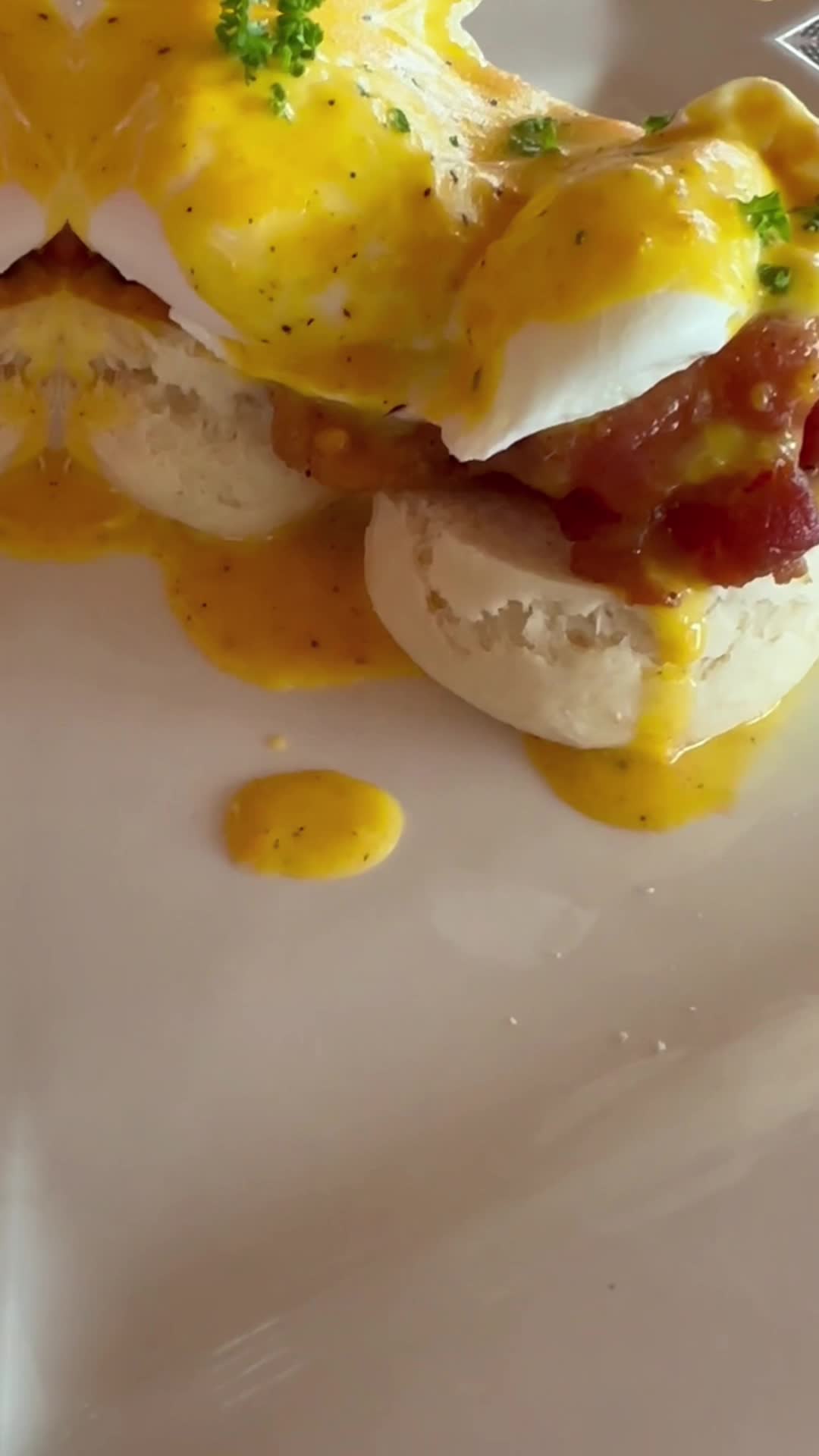 Video review of Sensi