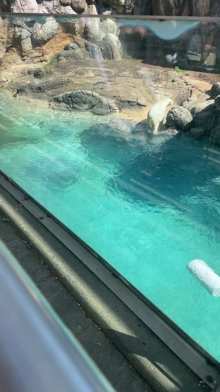 Ashboro zoo