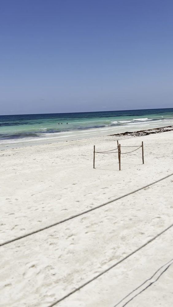 La Zebra Colibri Boutique Hotels