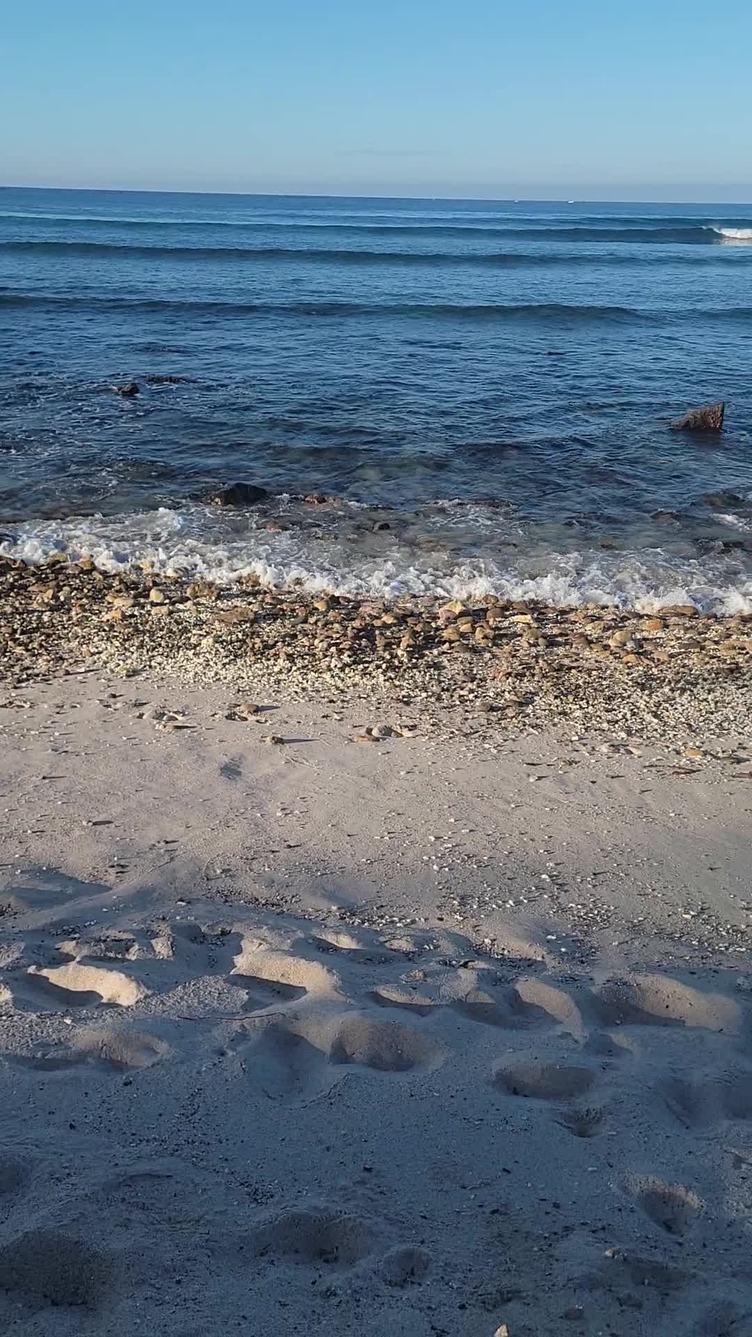 The St. Regis Punta Mita Resort