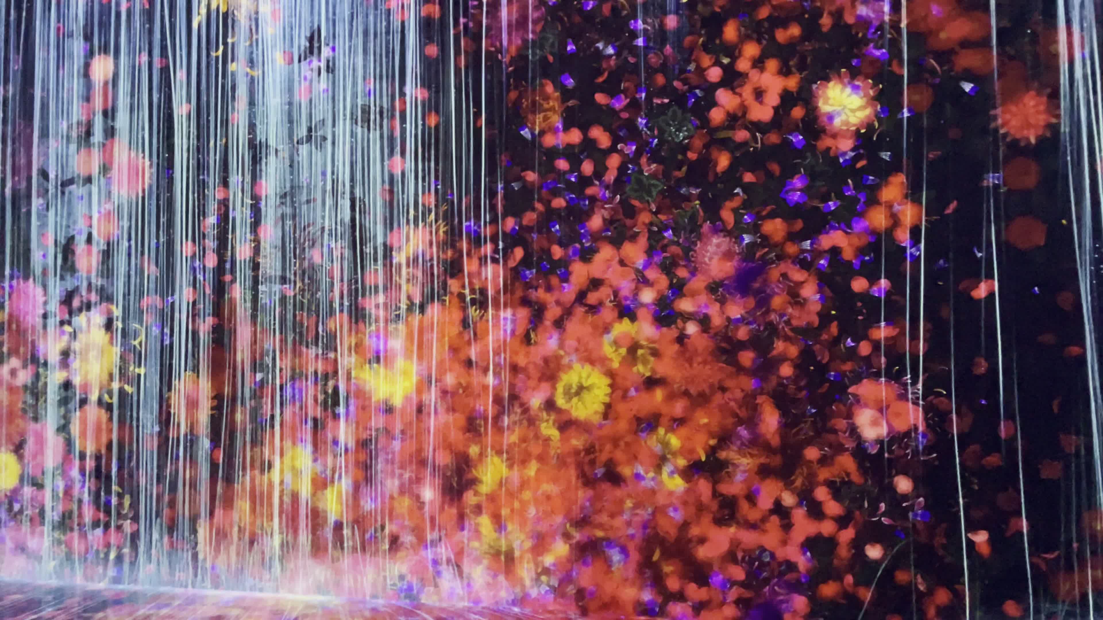 Teamlab Borderless