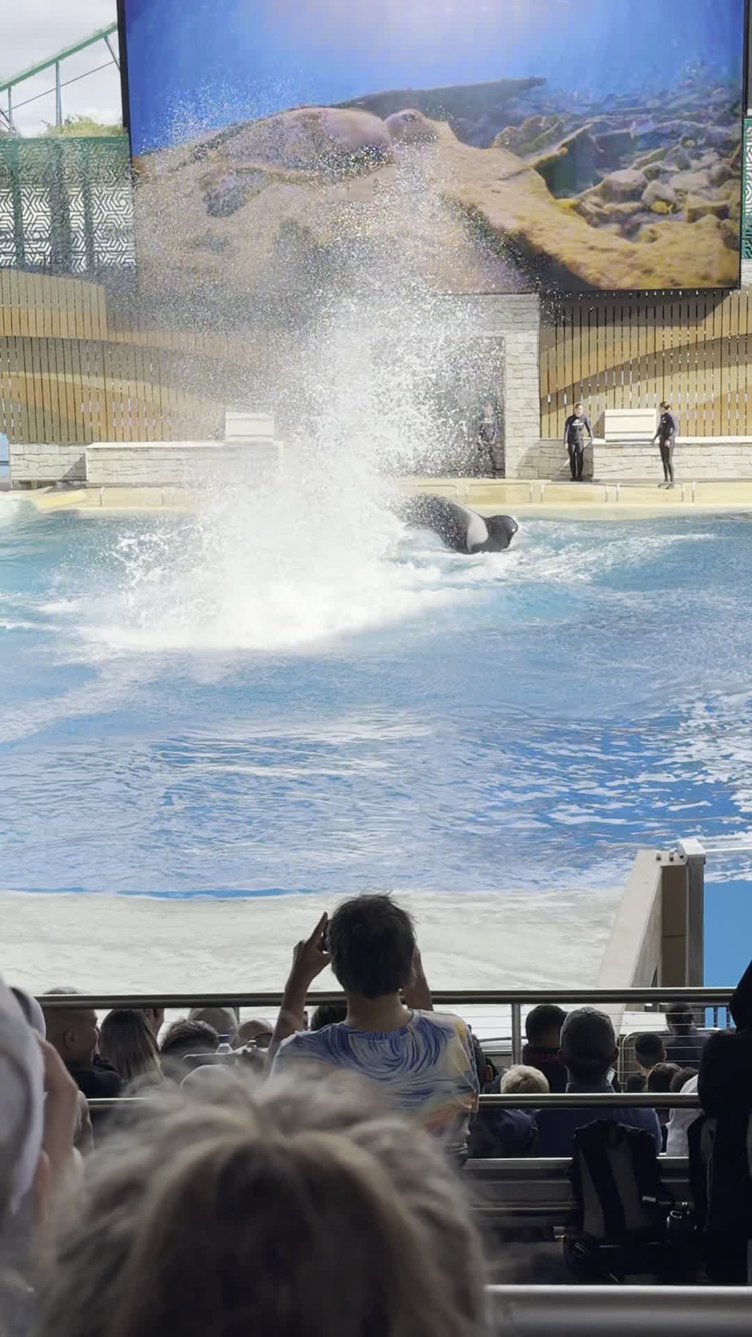 SeaWorld Orlando