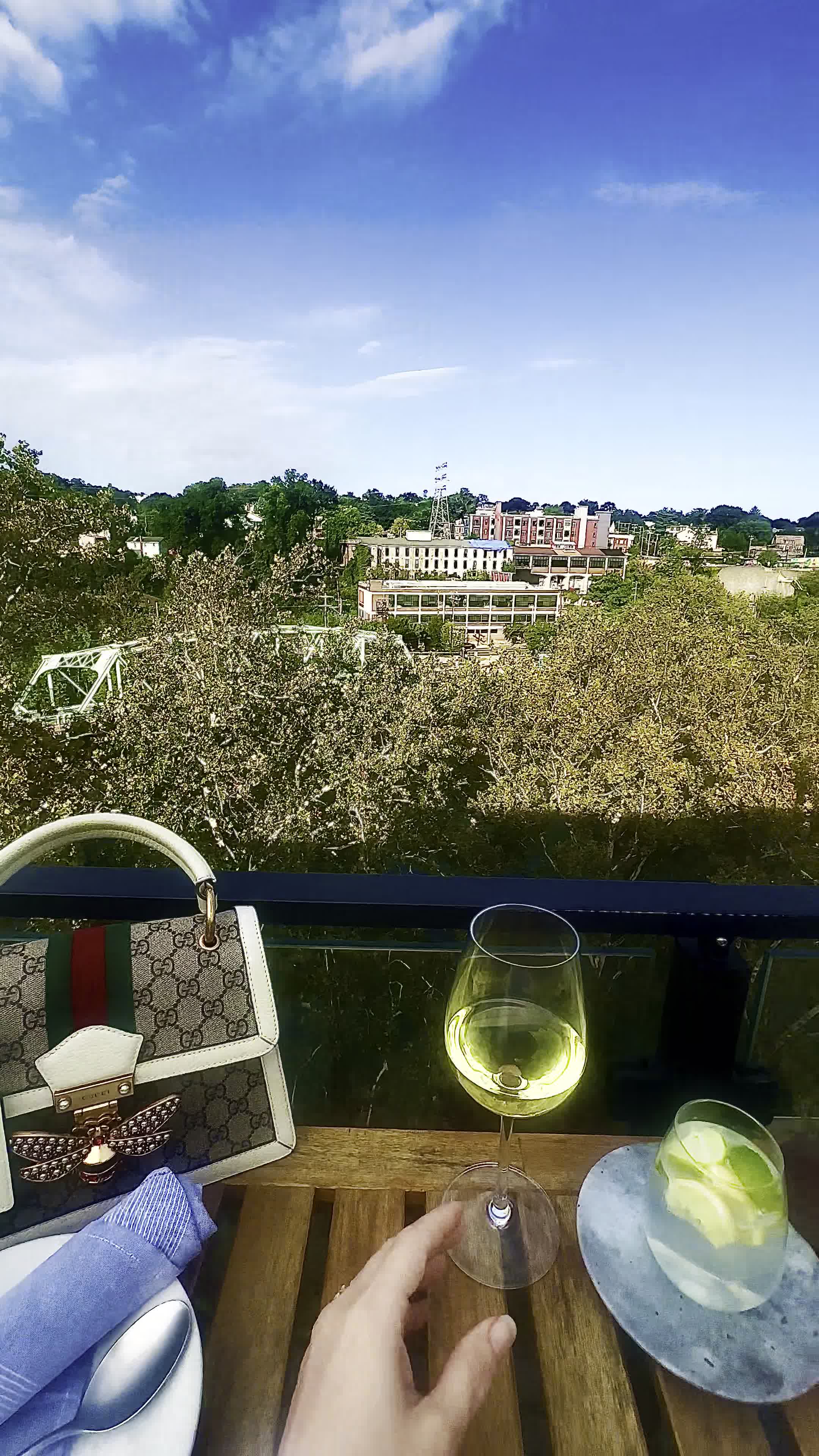 Video review of Lark