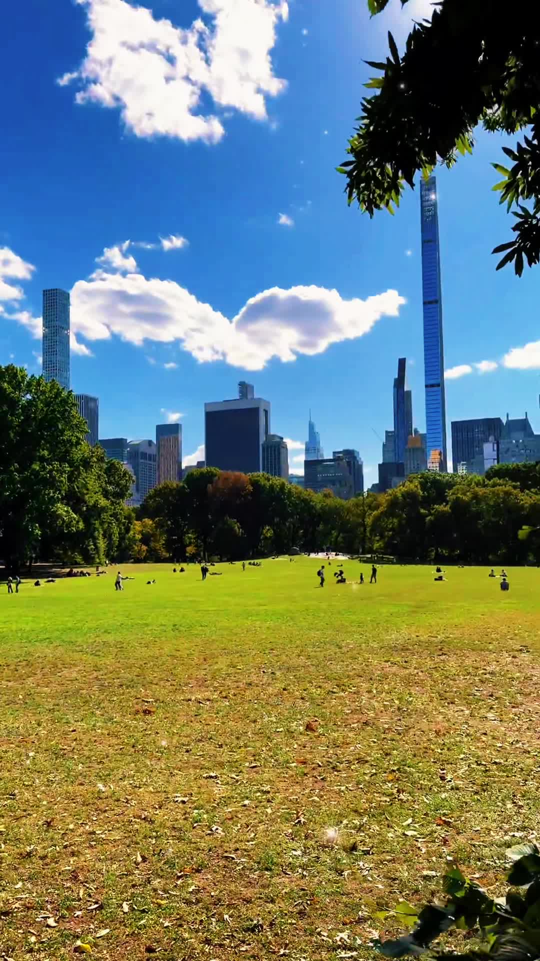 Video review of Central Park