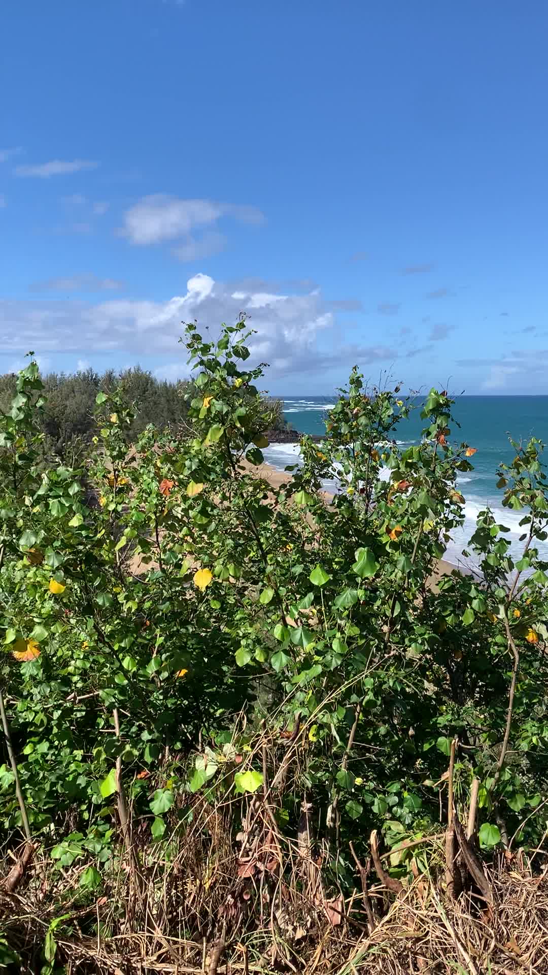 Lumaha'i River Beach