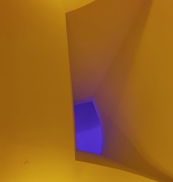 Museum of Fine Arts Houston