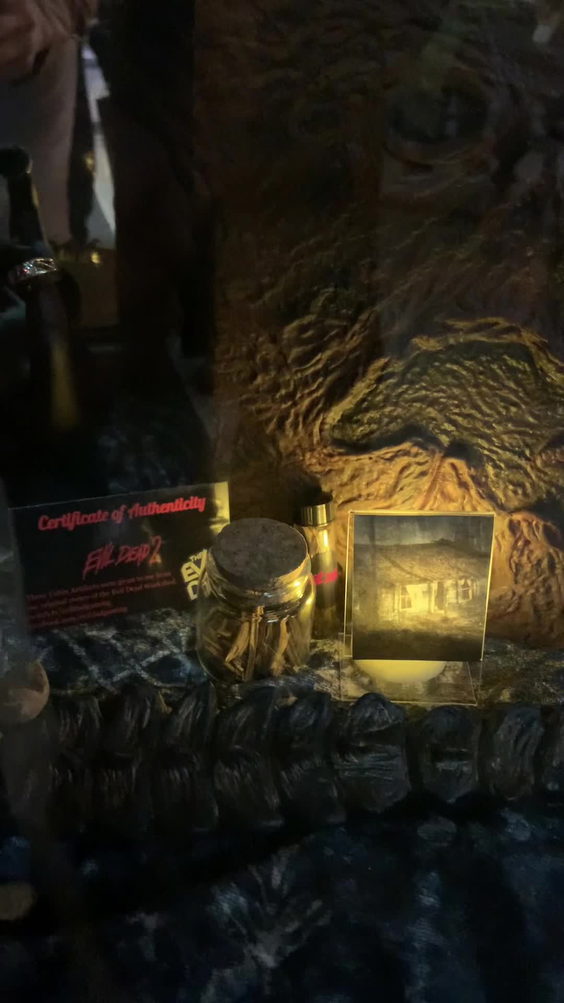The Black Cat Curiosity Shoppe