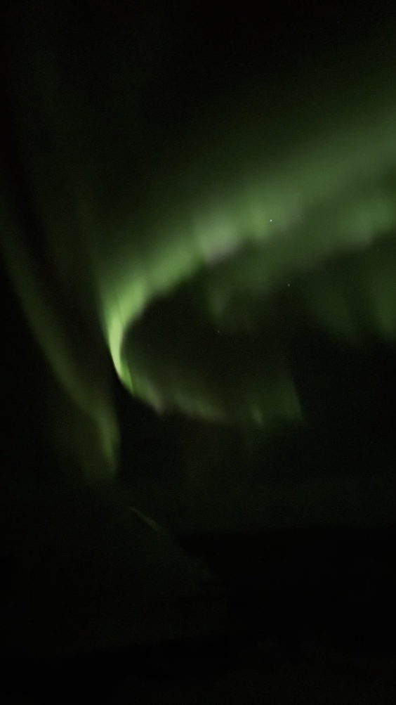 Borealis Basecamp