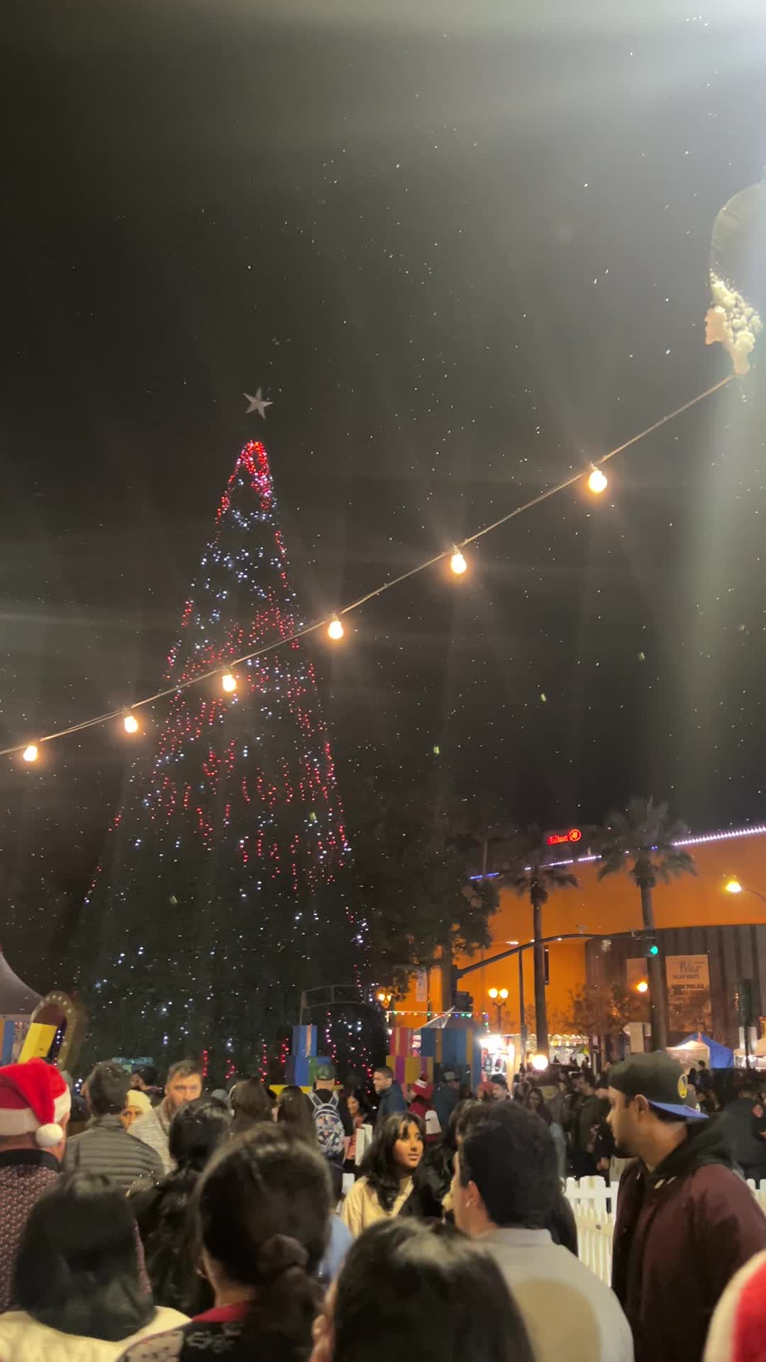 Christmas In the Park