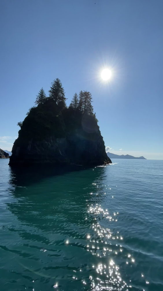 Kenai Fjords Tours