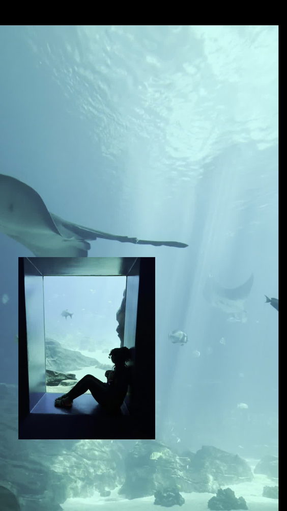 Georgia Aquarium