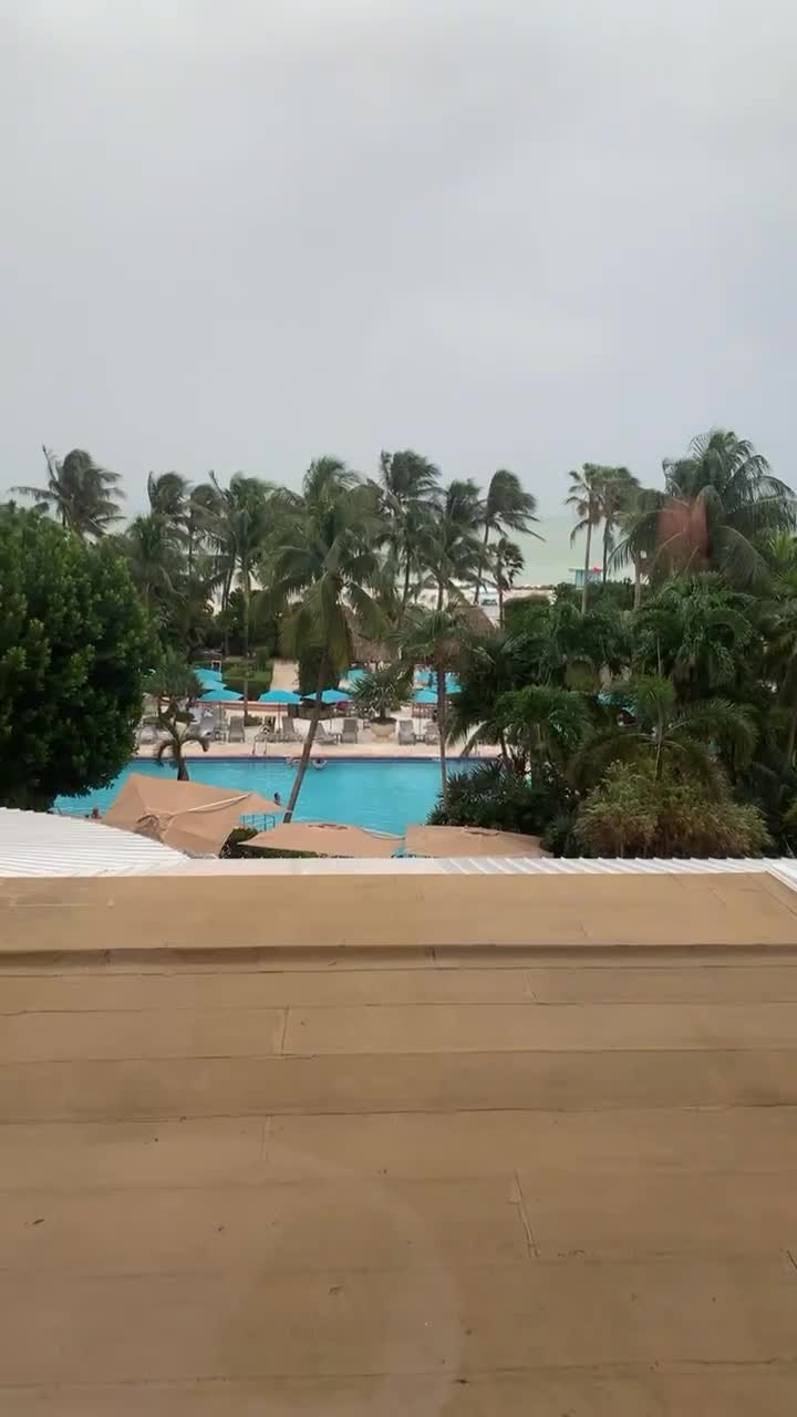 Video review of The Palms Hotel & Spa