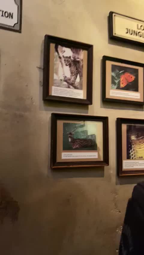 Expedition Everest - Legend of the Forbidden Mountain