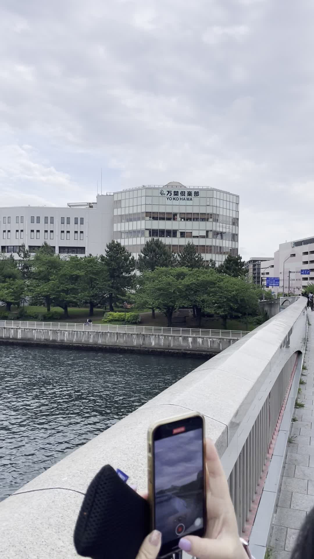 Video review of Minato-no-mieru-oka Park (港の見える丘公園)
