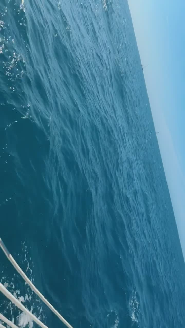 Sunset Watersports